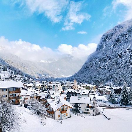 Cesa Cherpei - Dog Friendly Campitello di Fassa Dış mekan fotoğraf