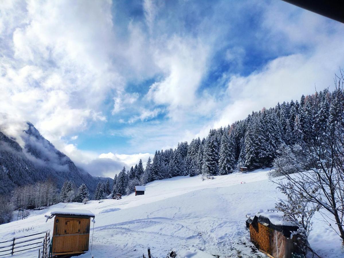 Cesa Cherpei - Dog Friendly Campitello di Fassa Dış mekan fotoğraf