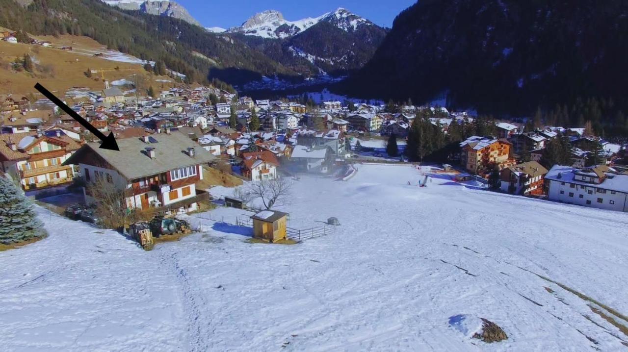 Cesa Cherpei - Dog Friendly Campitello di Fassa Dış mekan fotoğraf