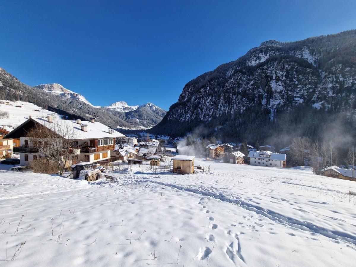 Cesa Cherpei - Dog Friendly Campitello di Fassa Dış mekan fotoğraf