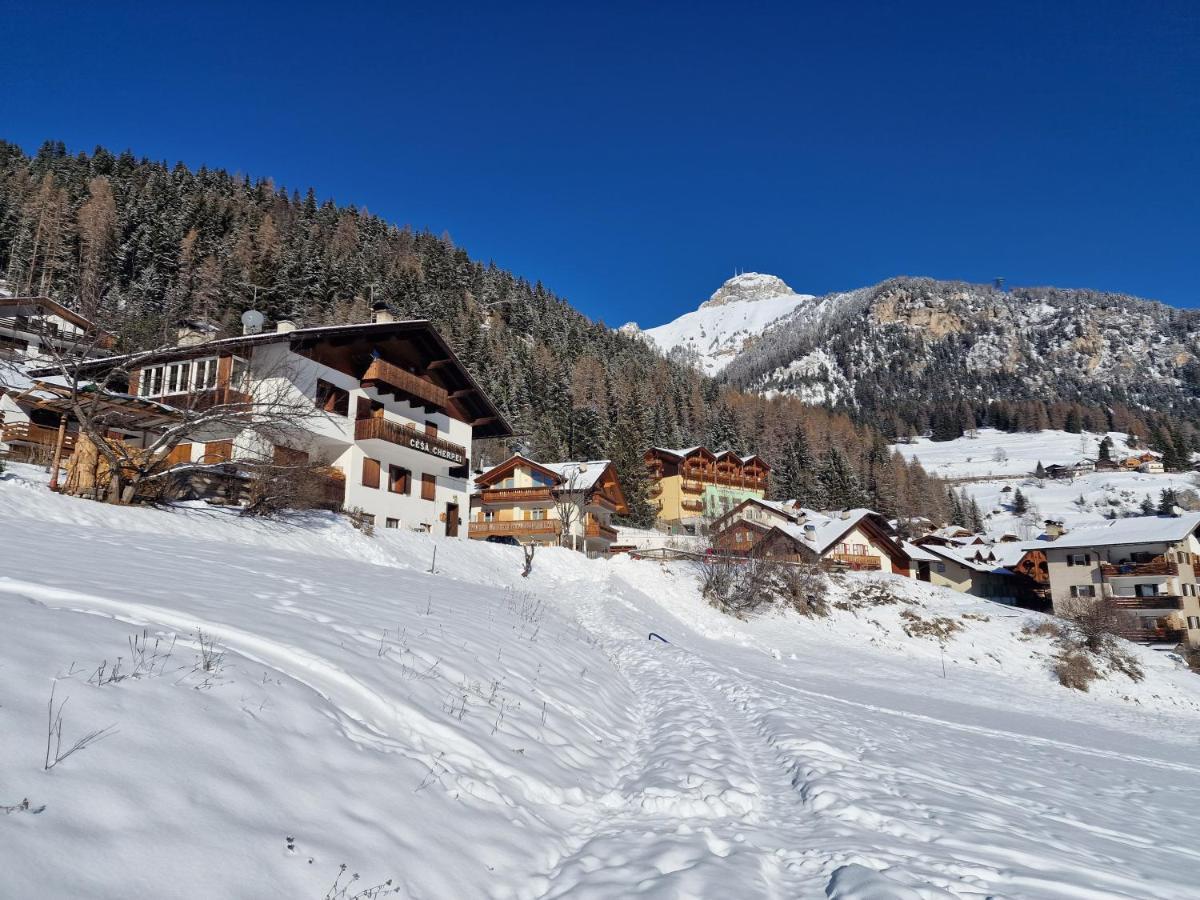 Cesa Cherpei - Dog Friendly Campitello di Fassa Dış mekan fotoğraf