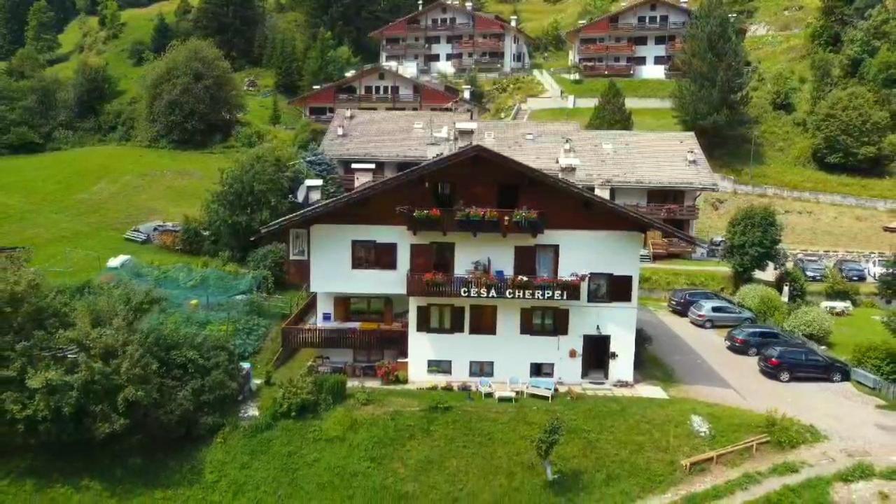 Cesa Cherpei - Dog Friendly Campitello di Fassa Dış mekan fotoğraf
