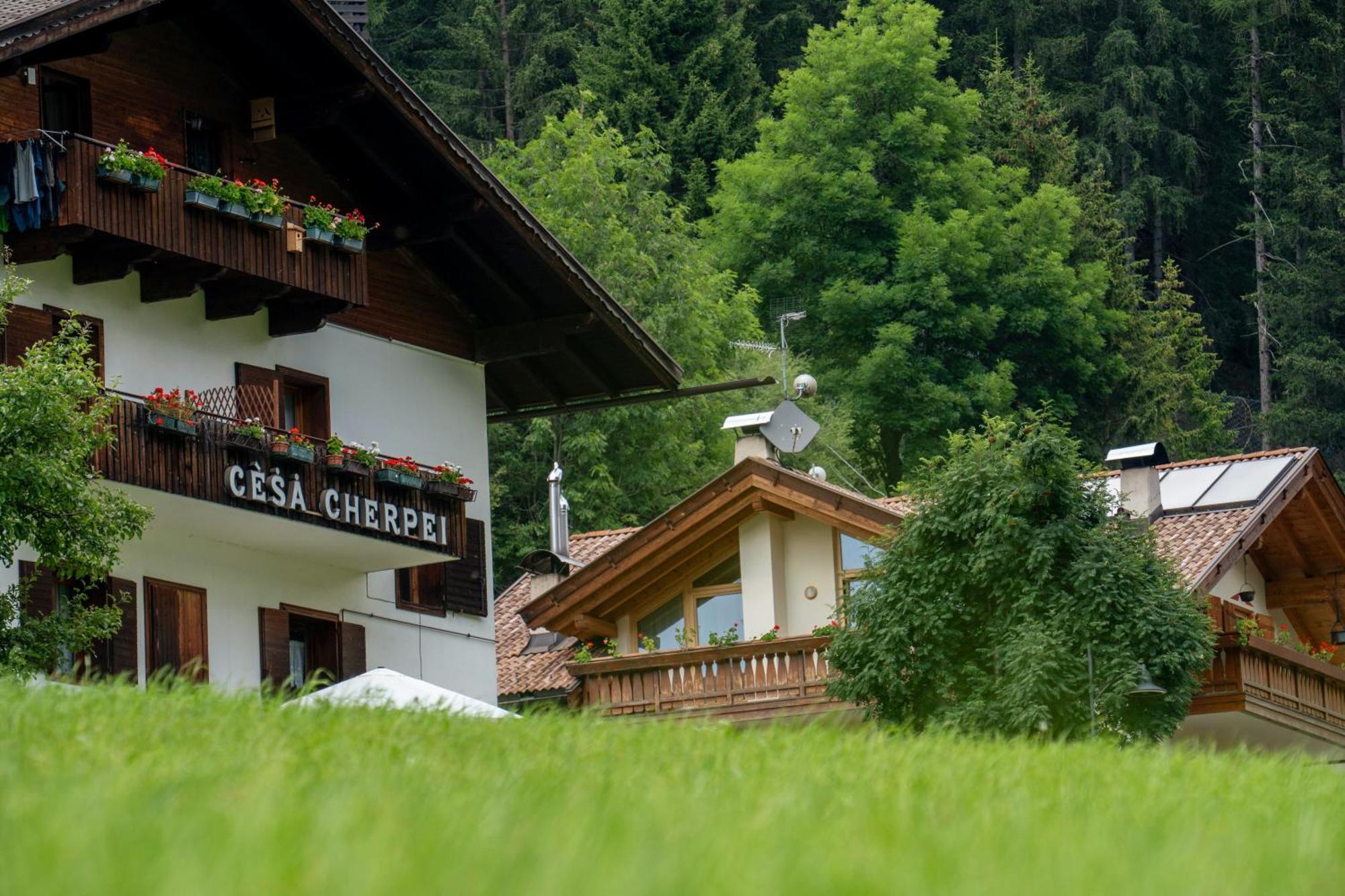 Cesa Cherpei - Dog Friendly Campitello di Fassa Dış mekan fotoğraf
